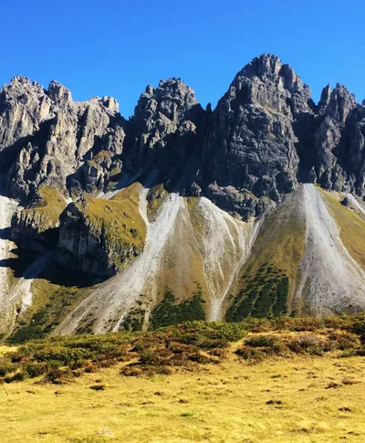 Alpine rug inspiration