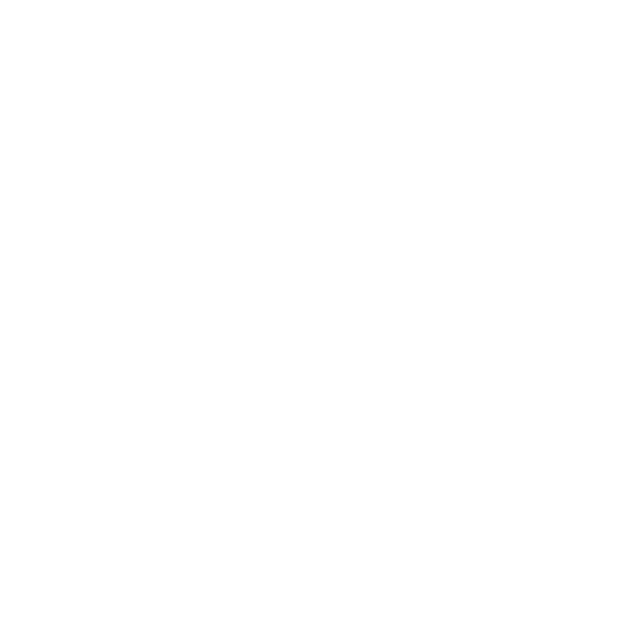 Mechi Surshar Carpets Logo