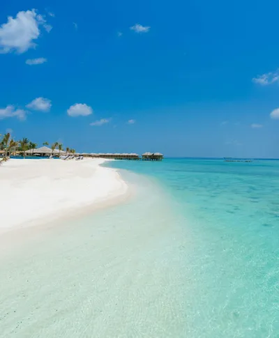 Marina rug inspiration