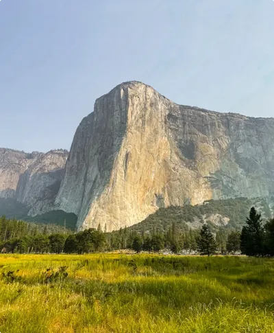 Yosemite rug inspiration